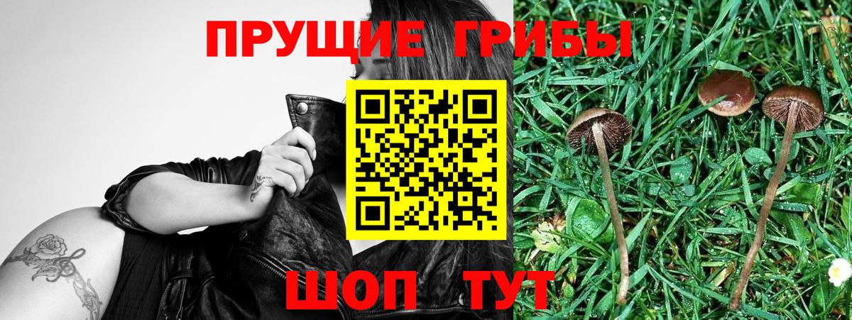 Псилоцибиновые грибы ЛСД Уварово
